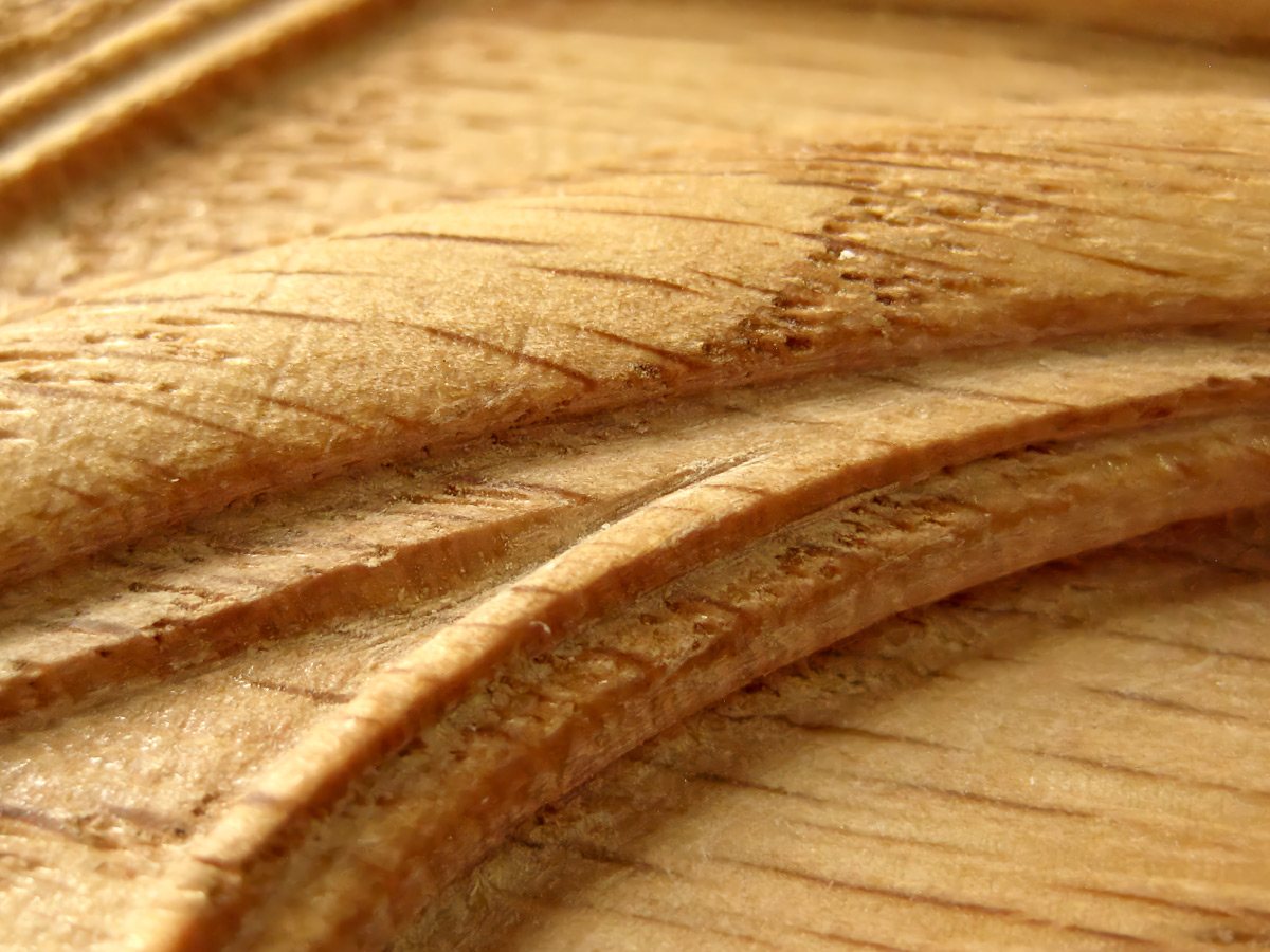 Closeup showing human tool-marks