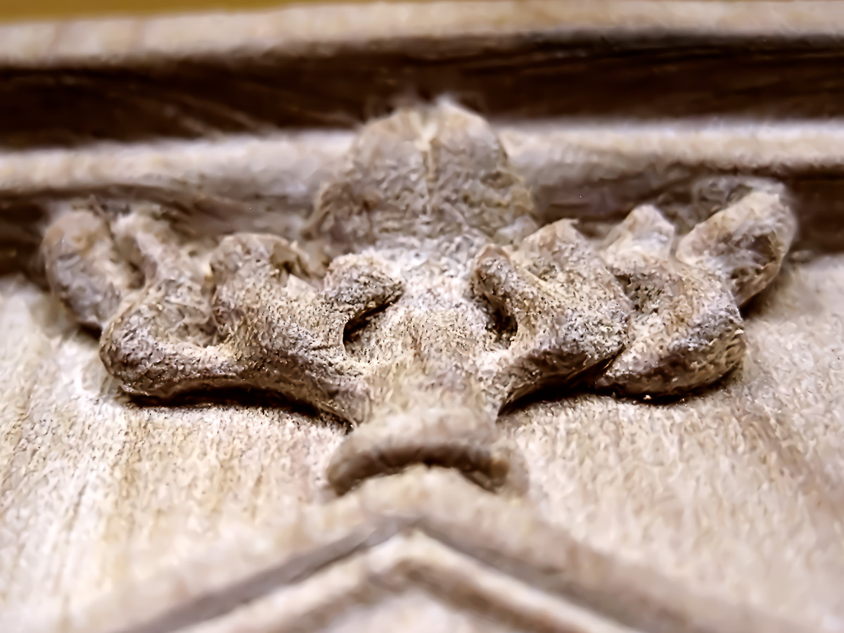 Detail: Undercuts on the top finial